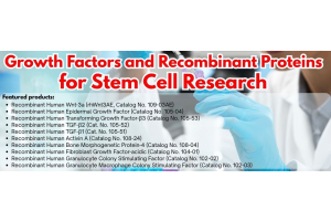 Growth Factors and Recombinant Proteins for Stem Cell Research